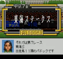 Image n° 1 - screenshots  : Derby Stallion 98